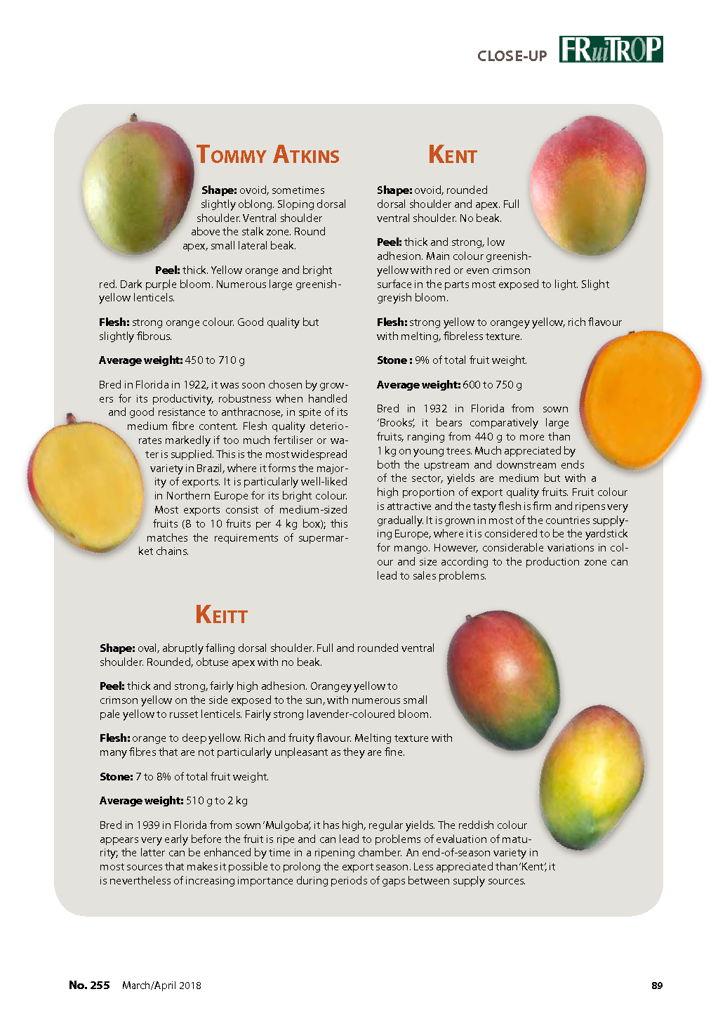 Mangoes Law Foreign Affairs Facts Mango Varieties Man - vrogue.co