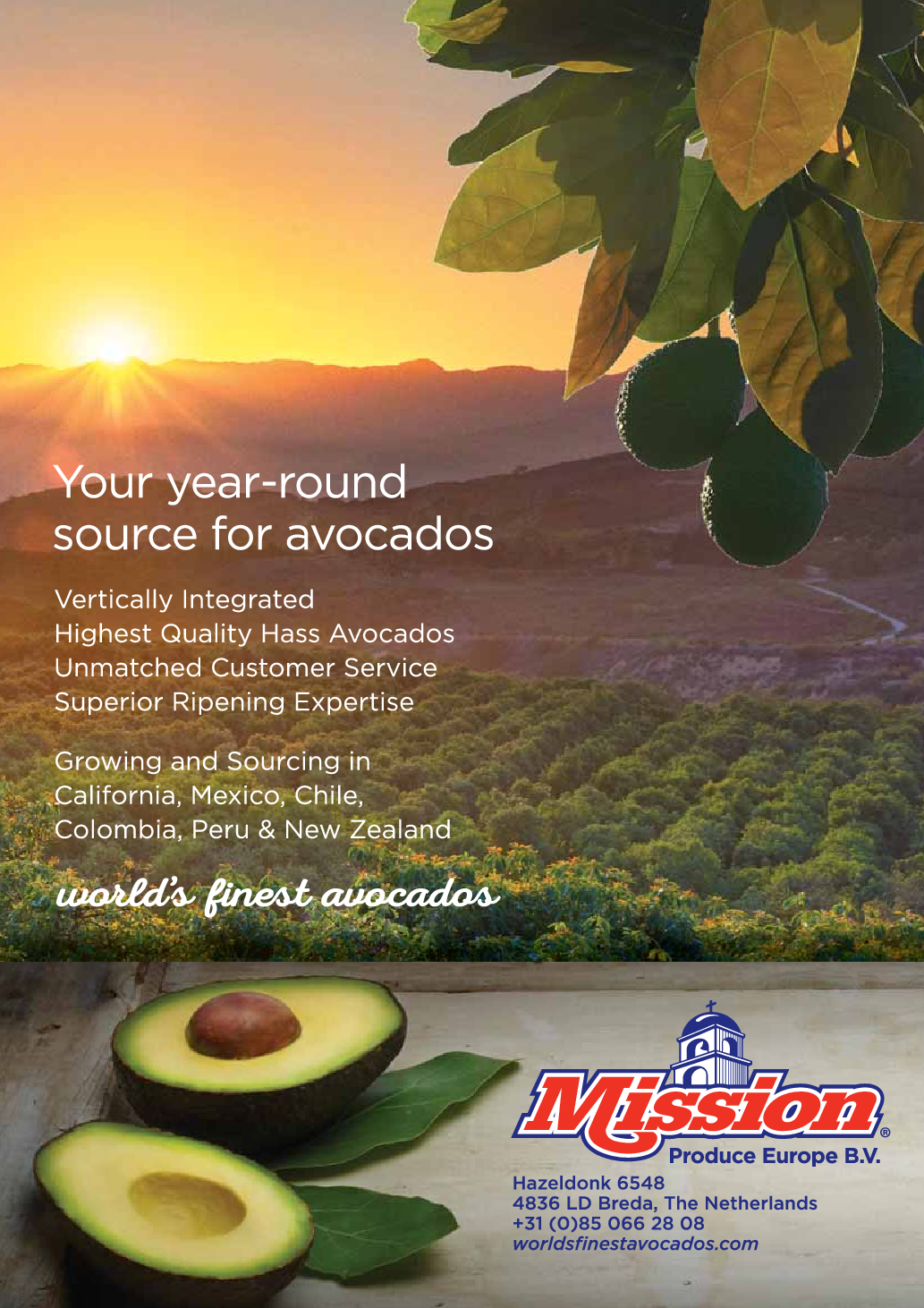EU avocado market segmentation