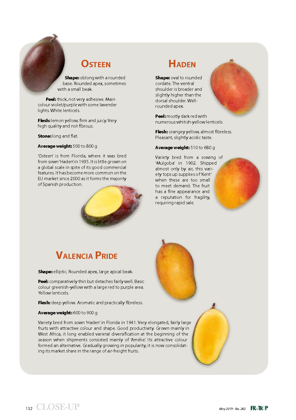 Main mango varieties