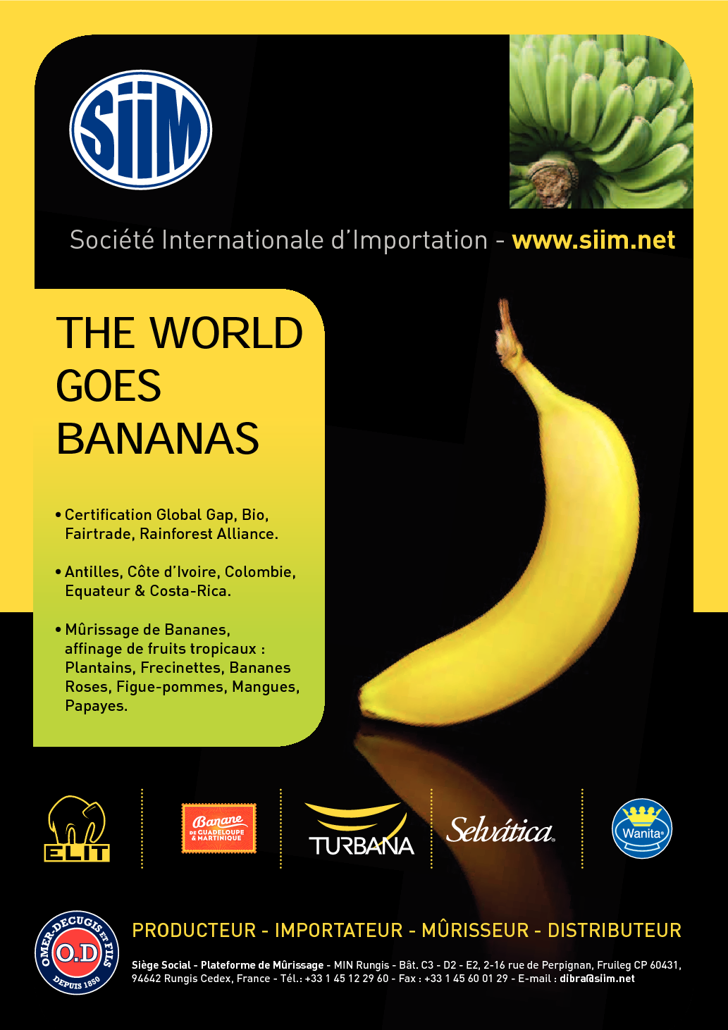 Banane : une gamme complète et diversifiée. MIN Rungis